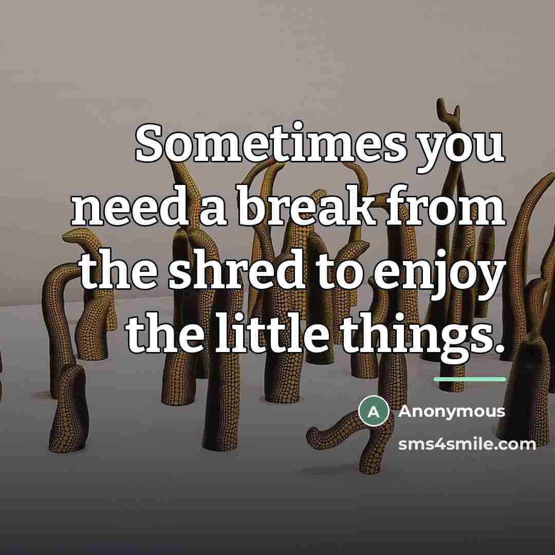 “Sometimes you need a break from the shred to enjoy…” quote by Anonymous