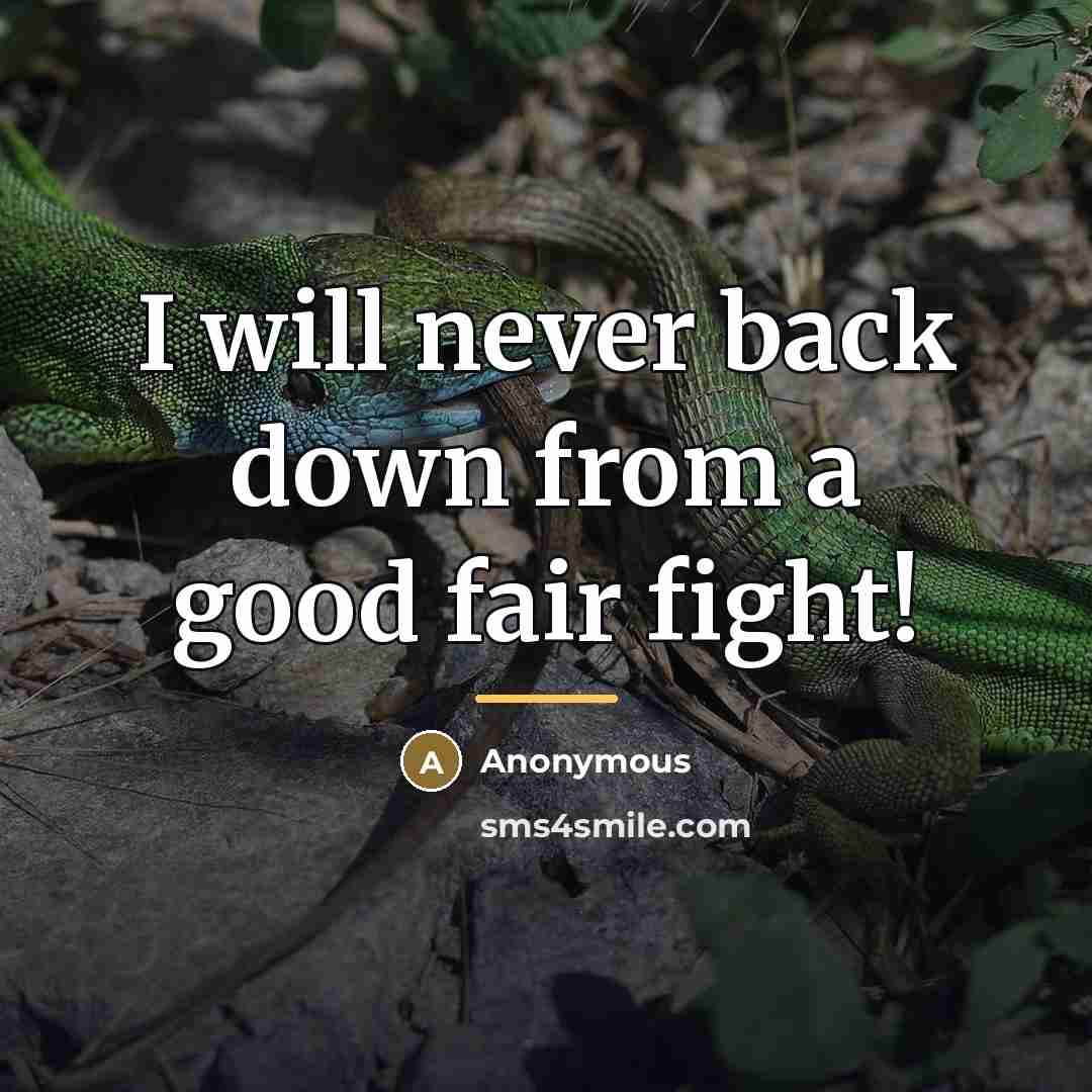 “I will never back down from a good fair fight!…” quote by Anonymous