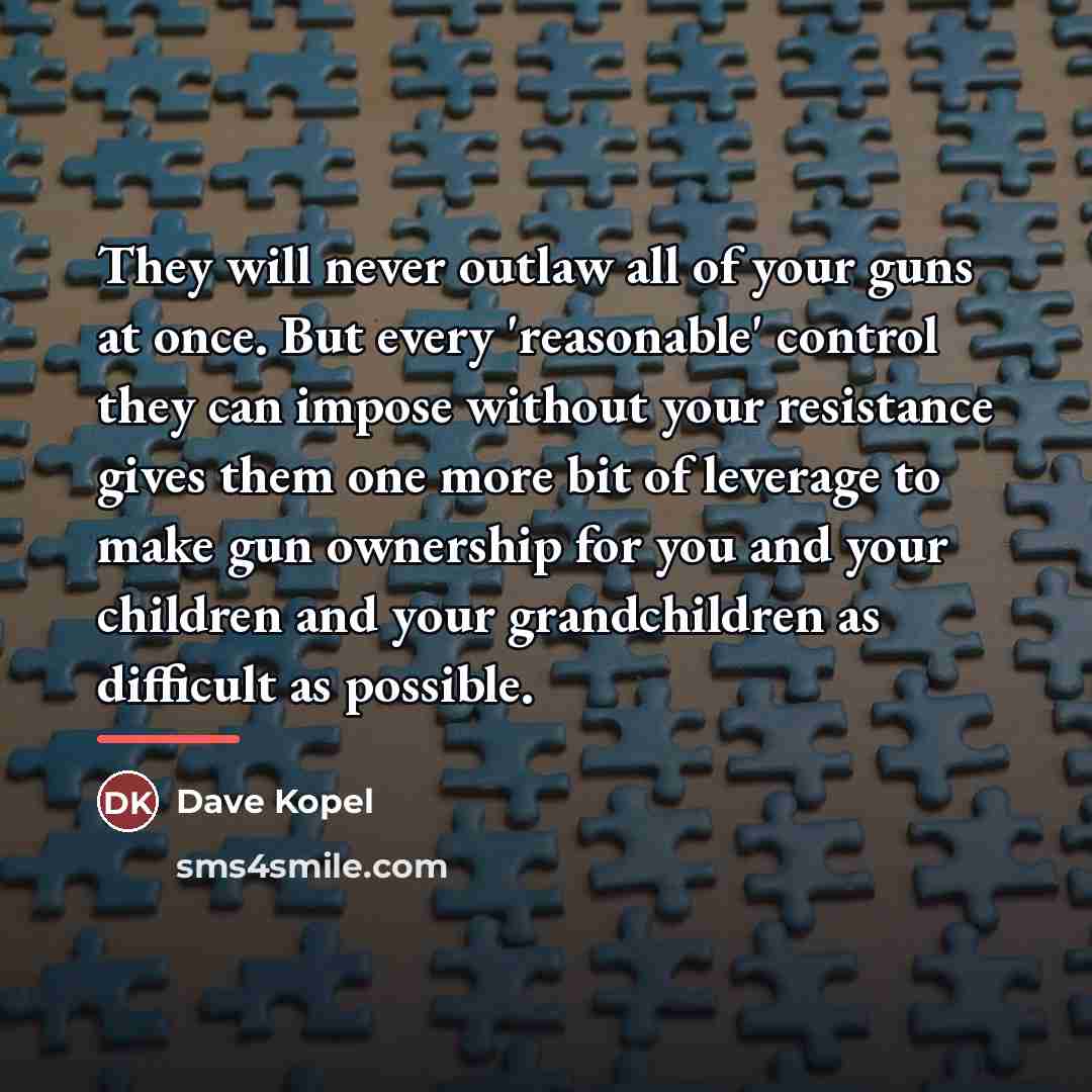 “They will never outlaw all of your guns at once.…” quote by Dave Kopel