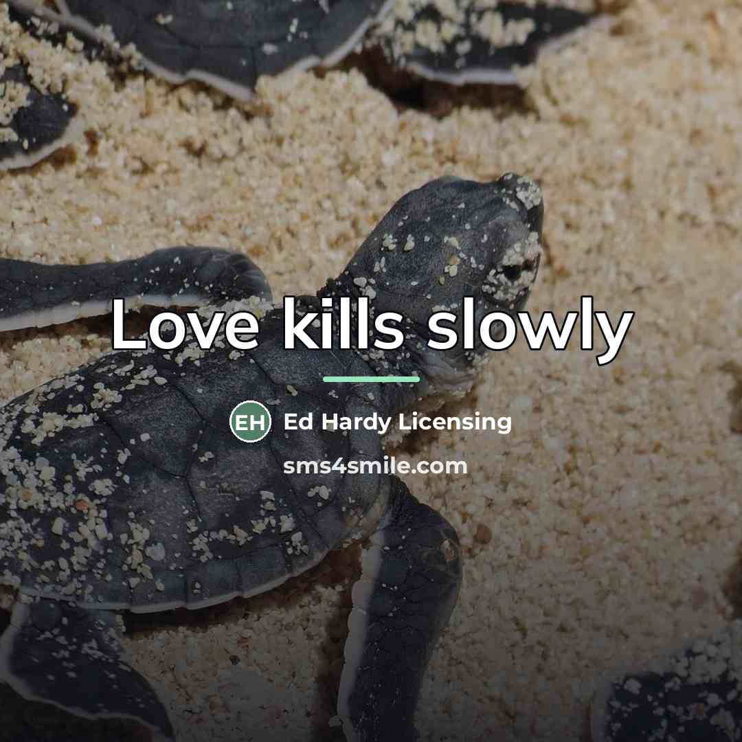 “Love kills slowly…” quote by Ed Hardy Licensing