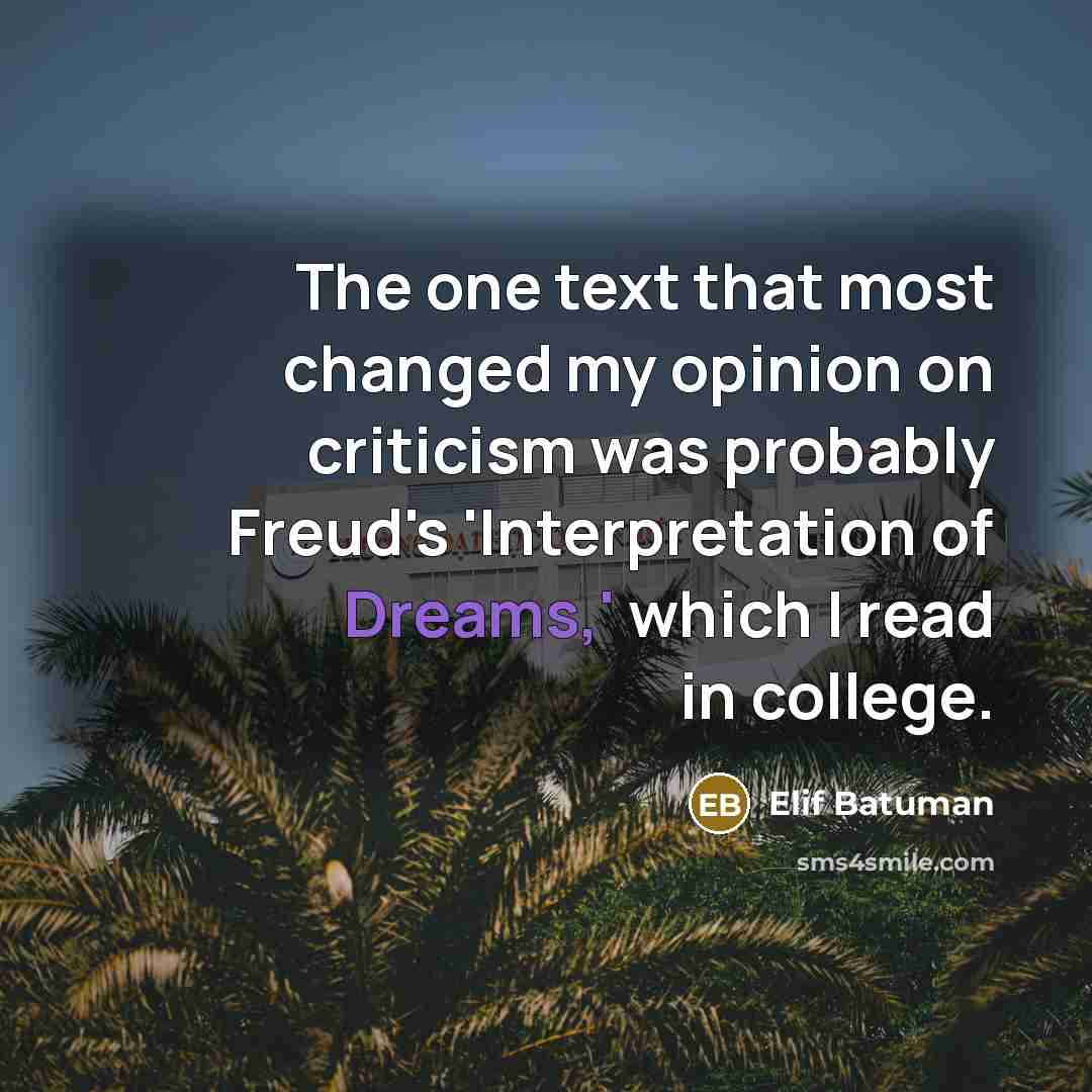 “The one text that most changed my opinion on criticism…” quote by Elif Batuman
