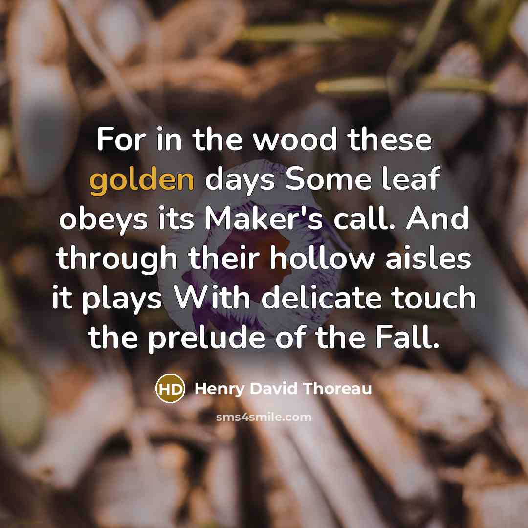 “For in the wood these golden days Some leaf obeys…” quote by Henry David Thoreau