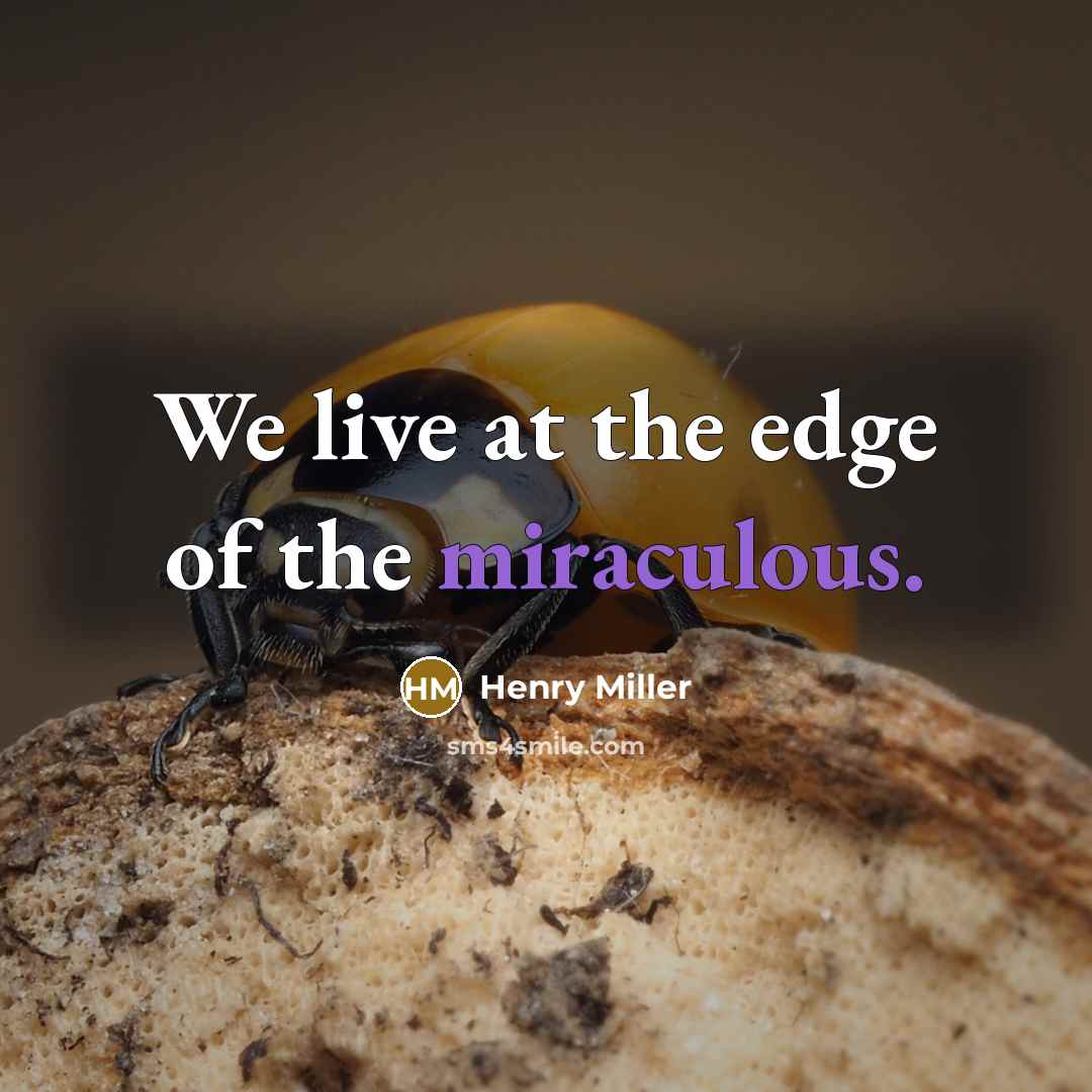 “We live at the edge of the miraculous.” quote by Henry Miller