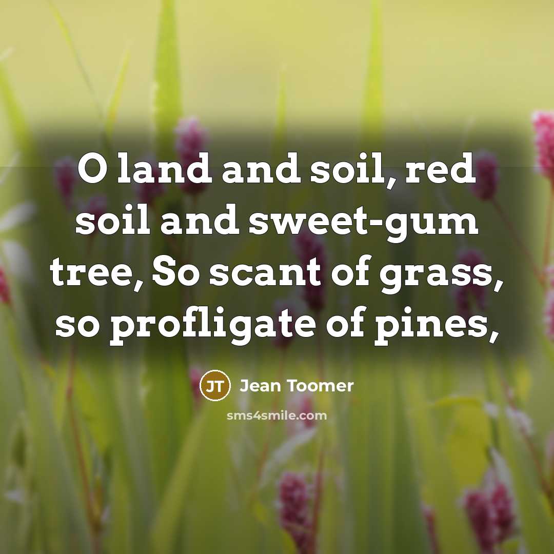 “O land and soil, red soil and sweet-gum tree, So scant of grass, so profligate of pines,” quote by Jean Toomer