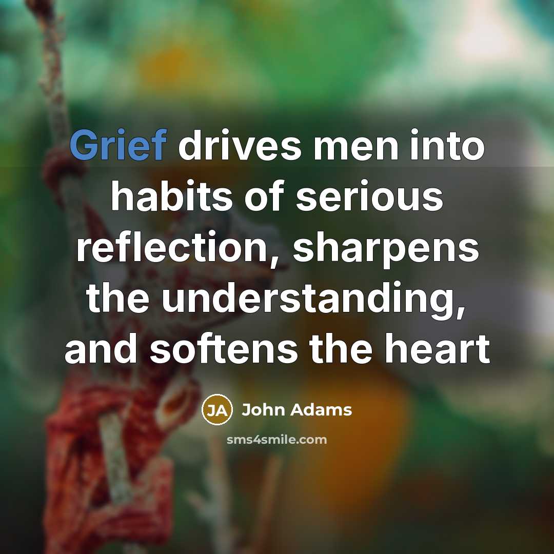 “Grief drives men into habits of serious reflection, sharpens the…” quote by John Adams