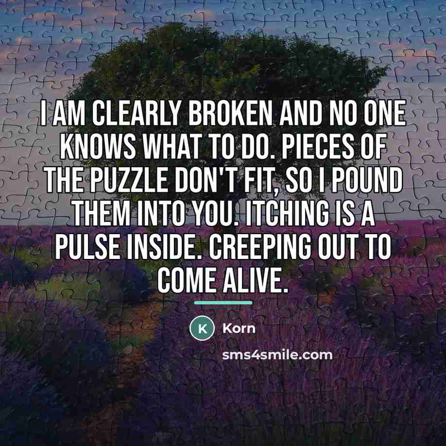 “I am clearly broken and no one knows what to…” quote by Korn