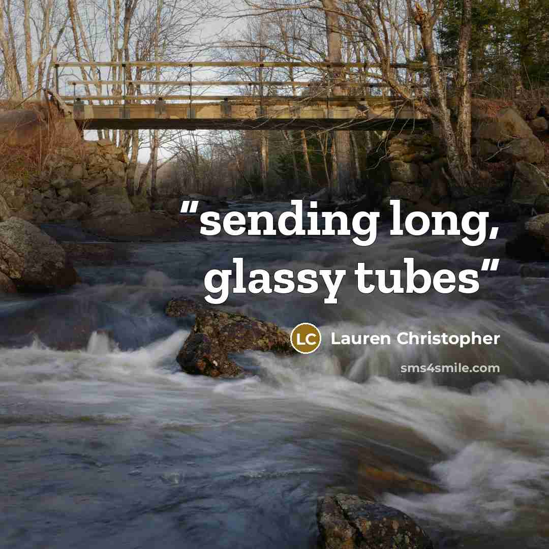 “sending long, glassy tubes” quote by Lauren Christopher