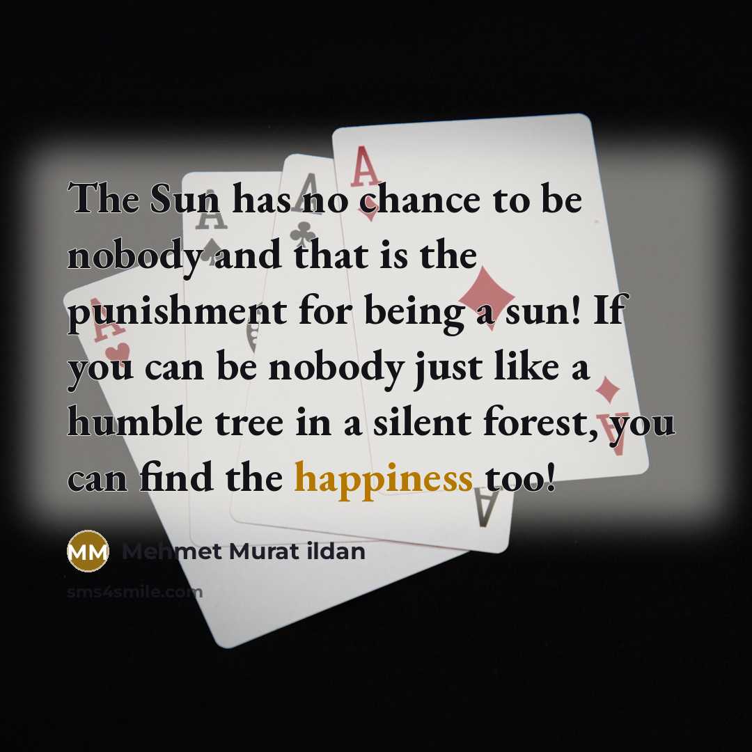 “The Sun has no chance to be nobody and that…” quote by Mehmet Murat Ildan