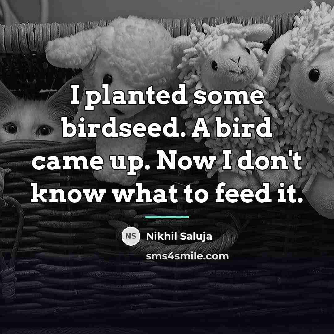 “I planted some birdseed. A bird came up. Now I…” quote by Nikhil Saluja