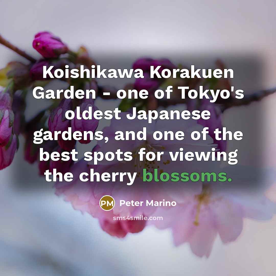 “Koishikawa Korakuen Garden - one of Tokyo's oldest Japanese gardens,…” quote by Peter Marino