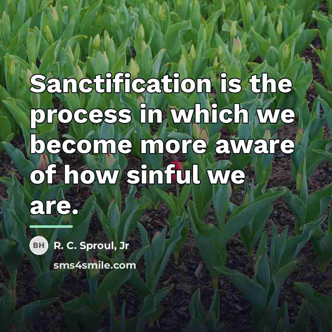 “Sanctification is the process in which we become more aware…” quote by R. C. Sproul, Jr
