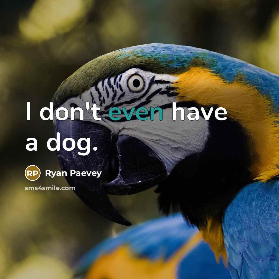“I don't even have a dog.” quote by Ryan Paevey