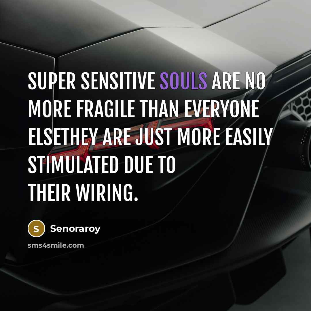 “Super Sensitive Souls are no more fragile than everyone elsethey are just more easily stimulated due to their wiring.” quote by Senoraroy