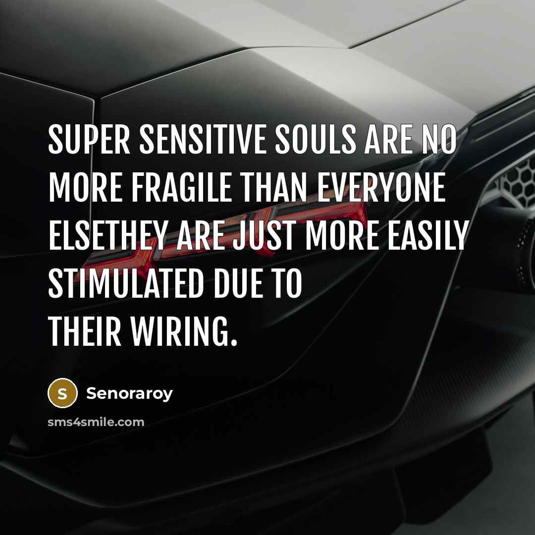 “Super Sensitive Souls are no more fragile than everyone elsethey…” quote by Senoraroy