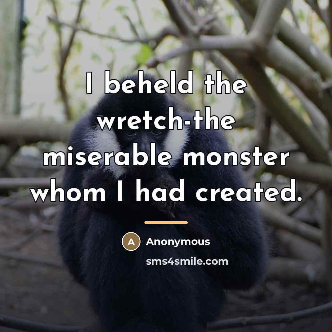 “I beheld the wretch-the miserable monster whom I had created.…” quote by Anonymous