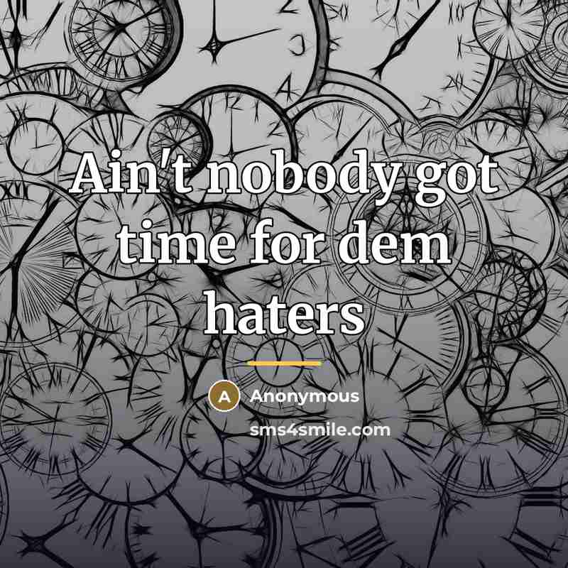 “Ain't nobody got time for dem haters…” quote by Anonymous