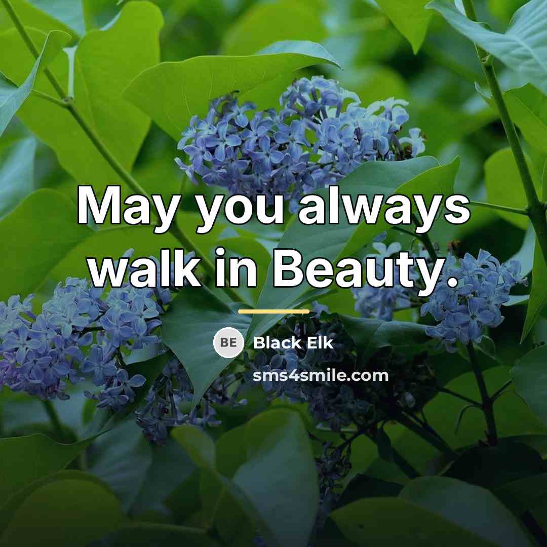 “May you always walk in Beauty.…” quote by Black Elk