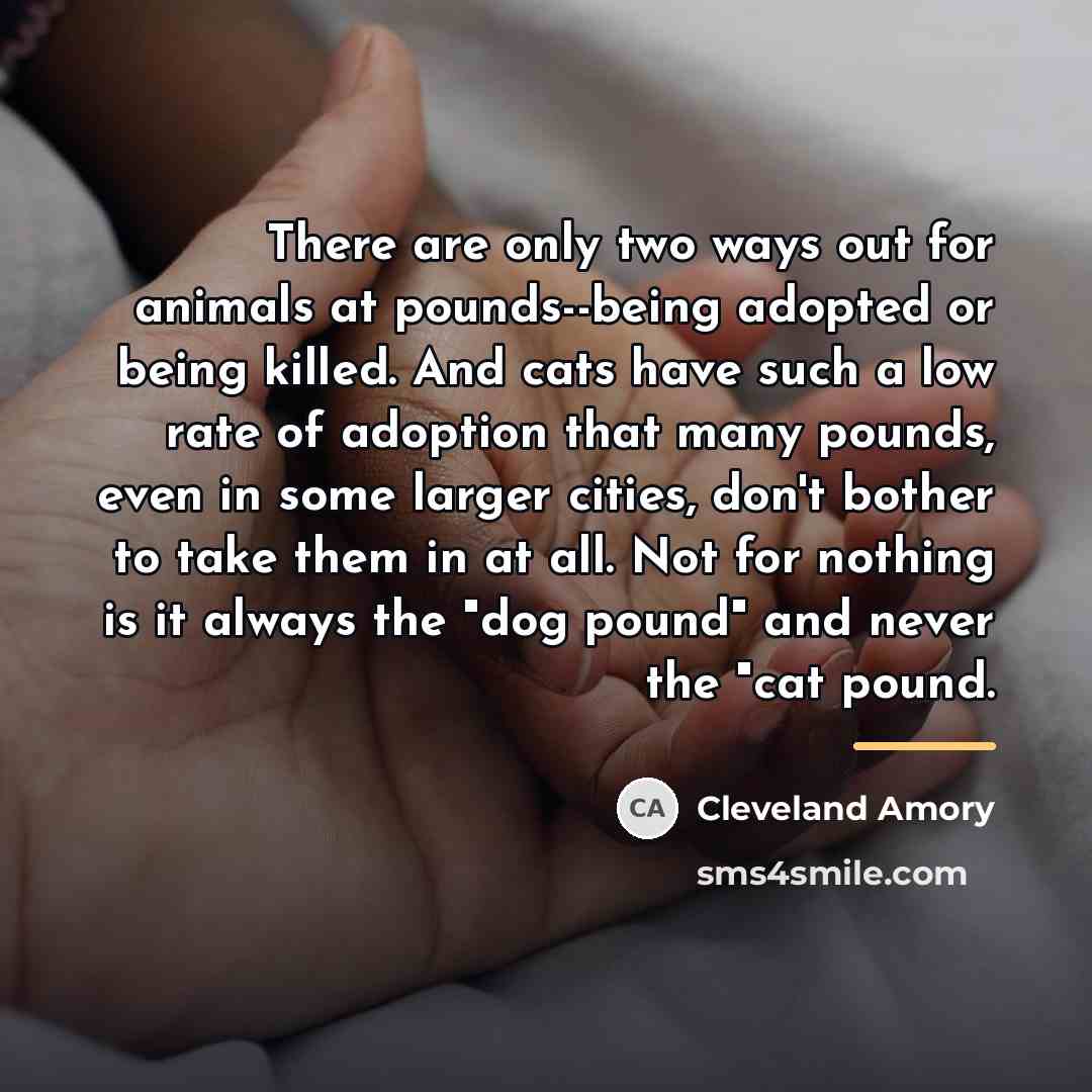 “There are only two ways out for animals at pounds--being…” quote by Cleveland Amory