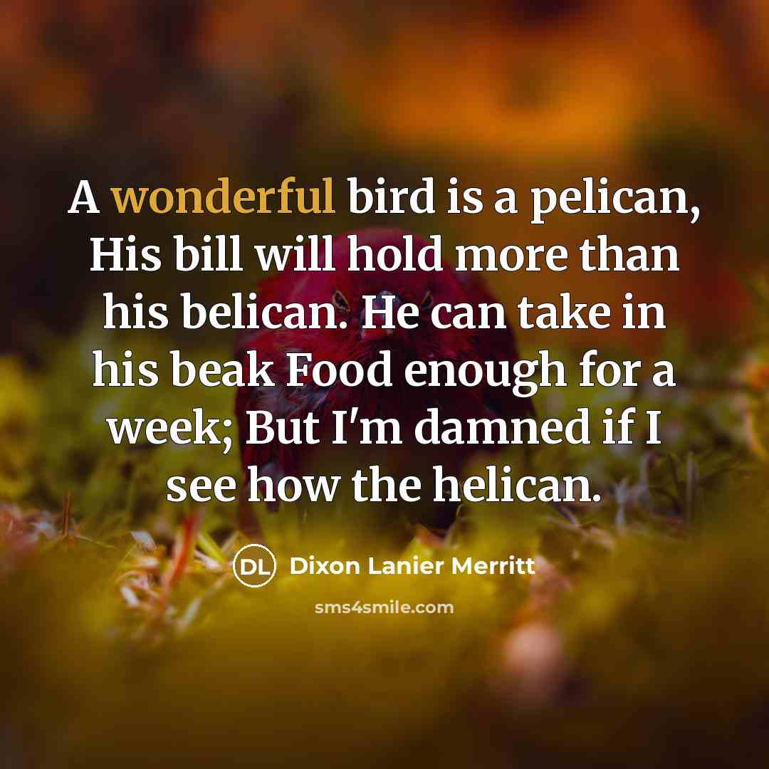“A wonderful bird is a pelican, His bill will hold…” quote by Dixon Lanier Merritt