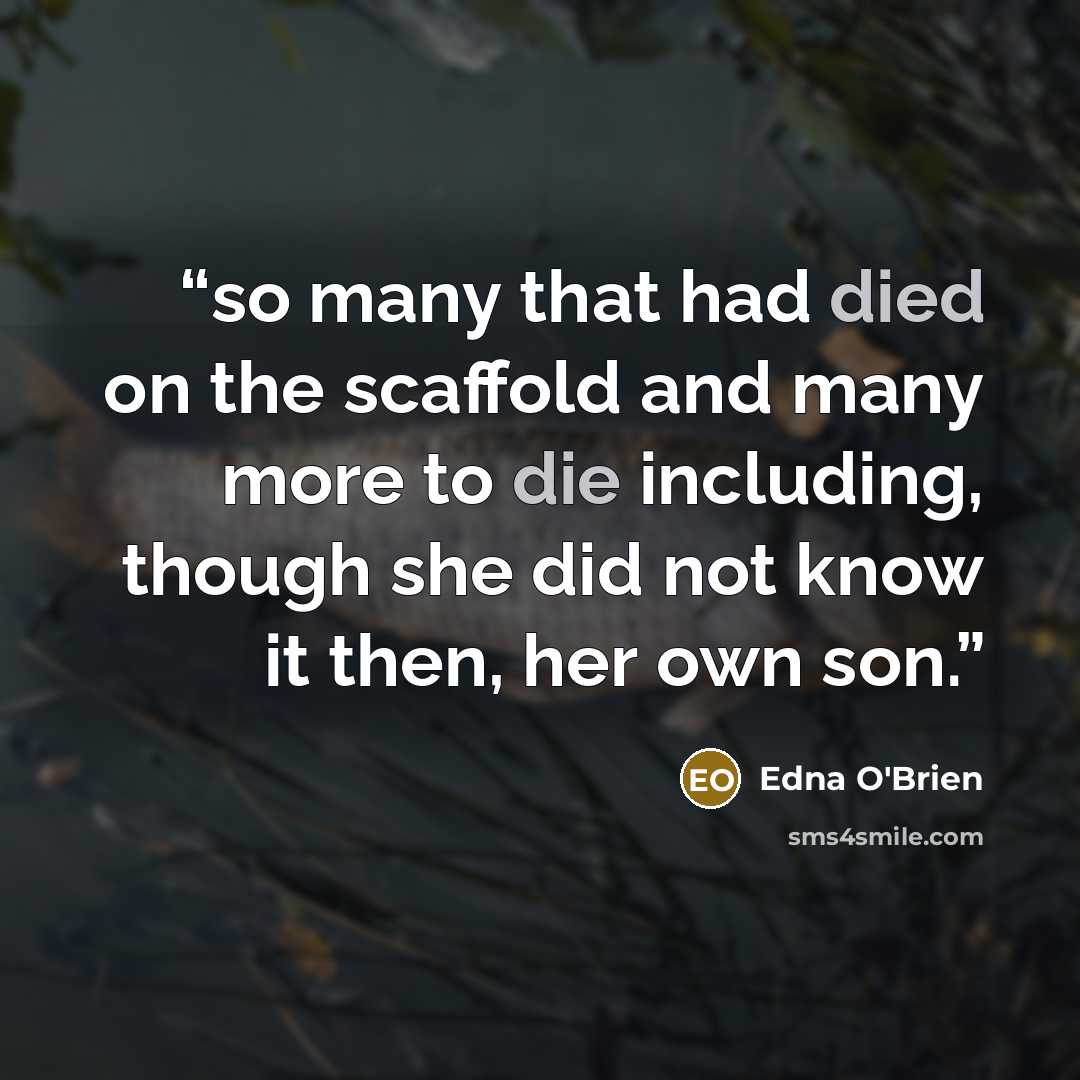 “so many that had died on the scaffold and many more to die including, though she did not know it then, her own son.” quote by Edna O'Brien