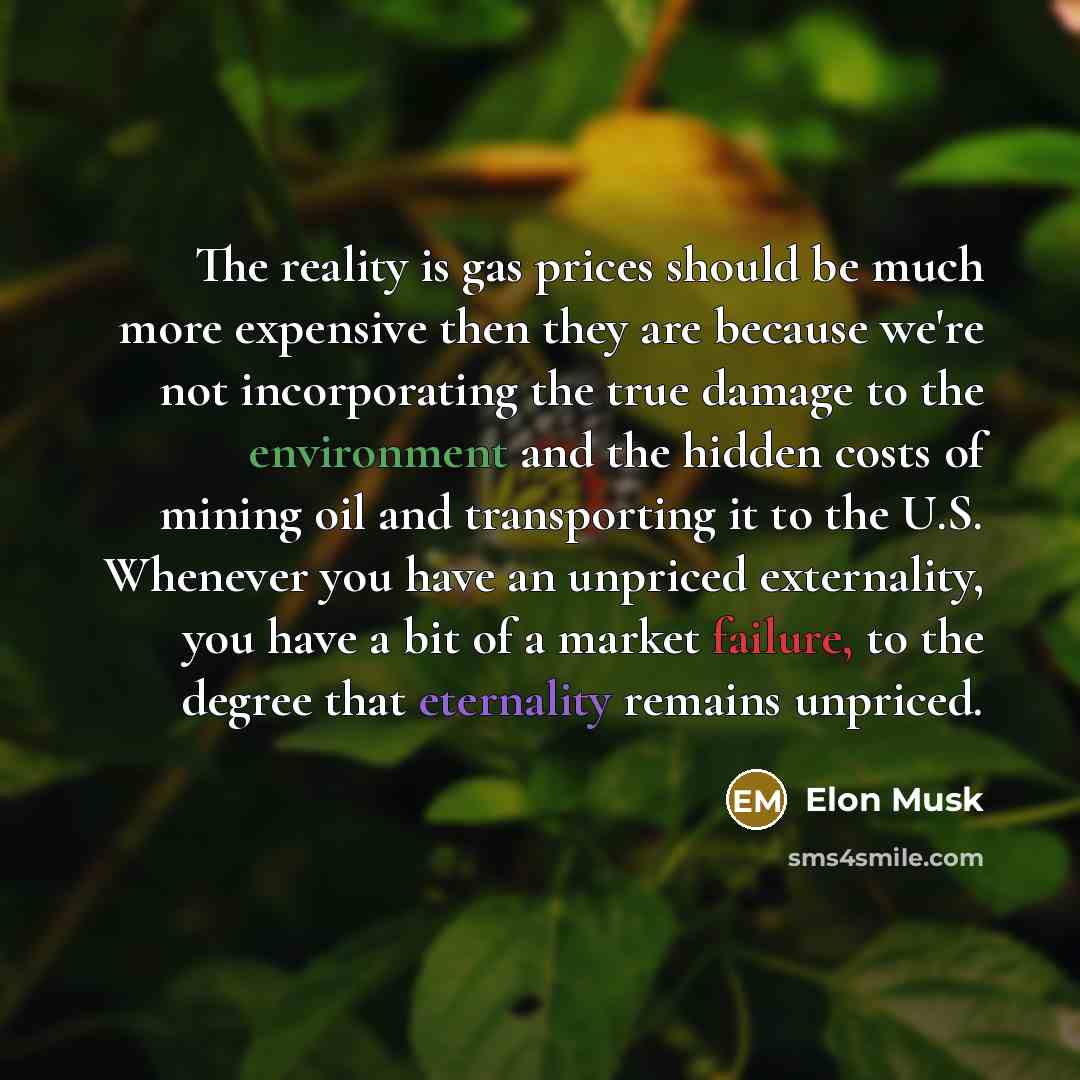 “The reality is gas prices should be much more expensive then they are because we're not incorporating the true damage to the environment and the hidden costs of mining oil and transporting it to the U.S. Whenever you have an unpriced externality, you have a bit of a market failure, to the degree…” quote by Elon Musk
