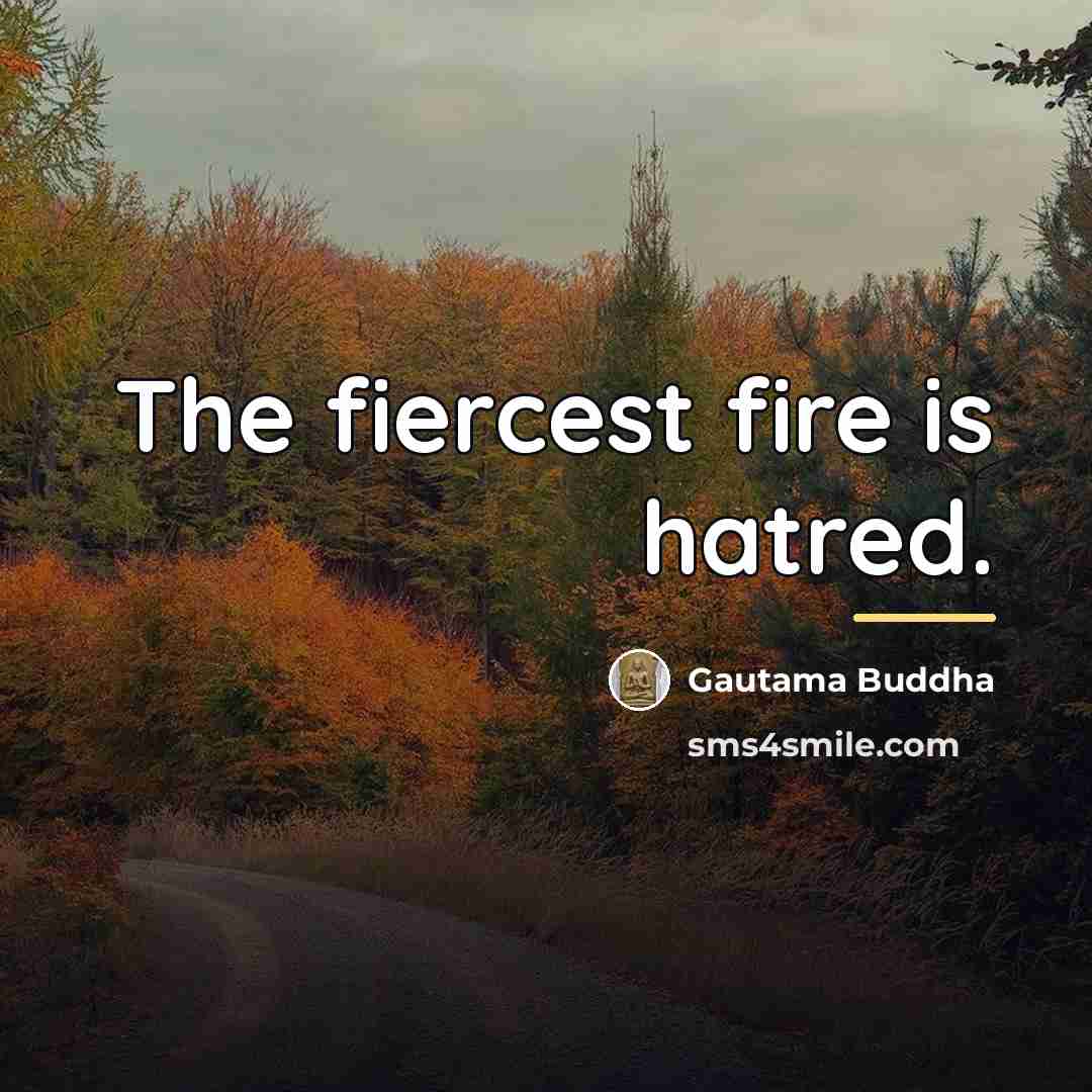 “The fiercest fire is hatred.…” quote by Gautama Buddha