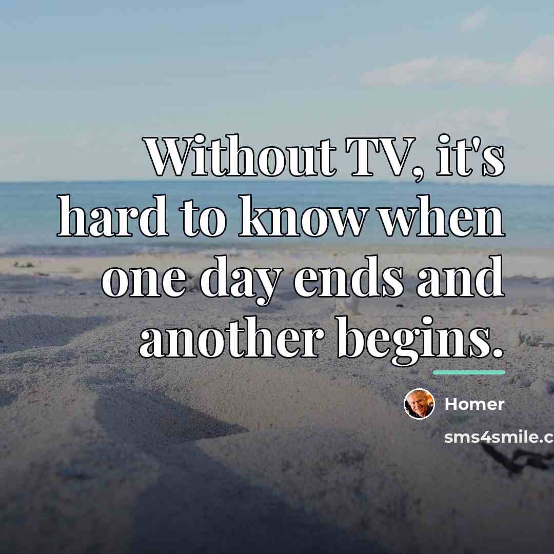 “Without TV, it's hard to know when one day ends…” quote by Homer