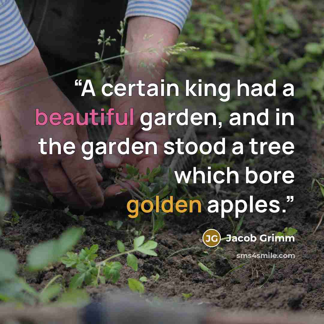 “A certain king had a beautiful garden, and in the garden stood a tree which bore golden apples.” quote by Jacob Grimm