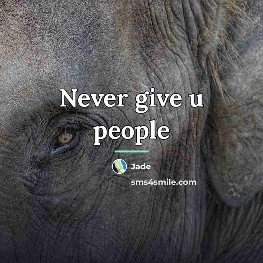 “Never give u people…” quote by Jade