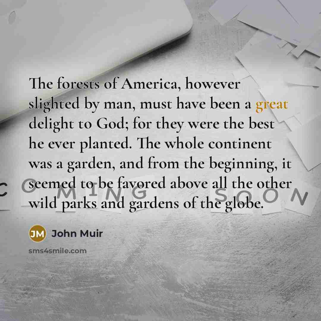 “The forests of America, however slighted by man, must have…” quote by John Muir