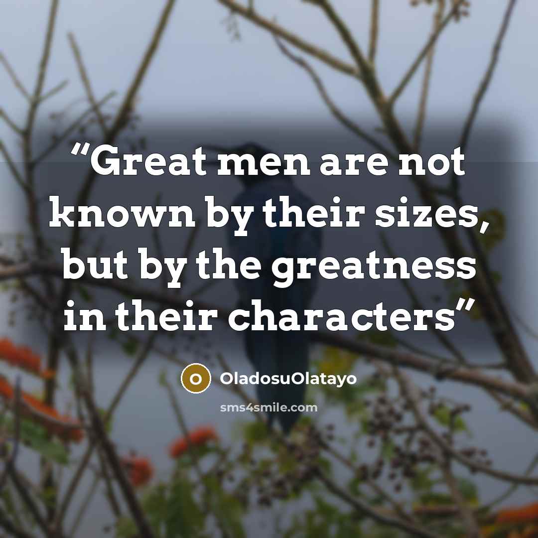 “Great men are not known by their sizes, but by the greatness in their characters” quote by OladosuOlatayo