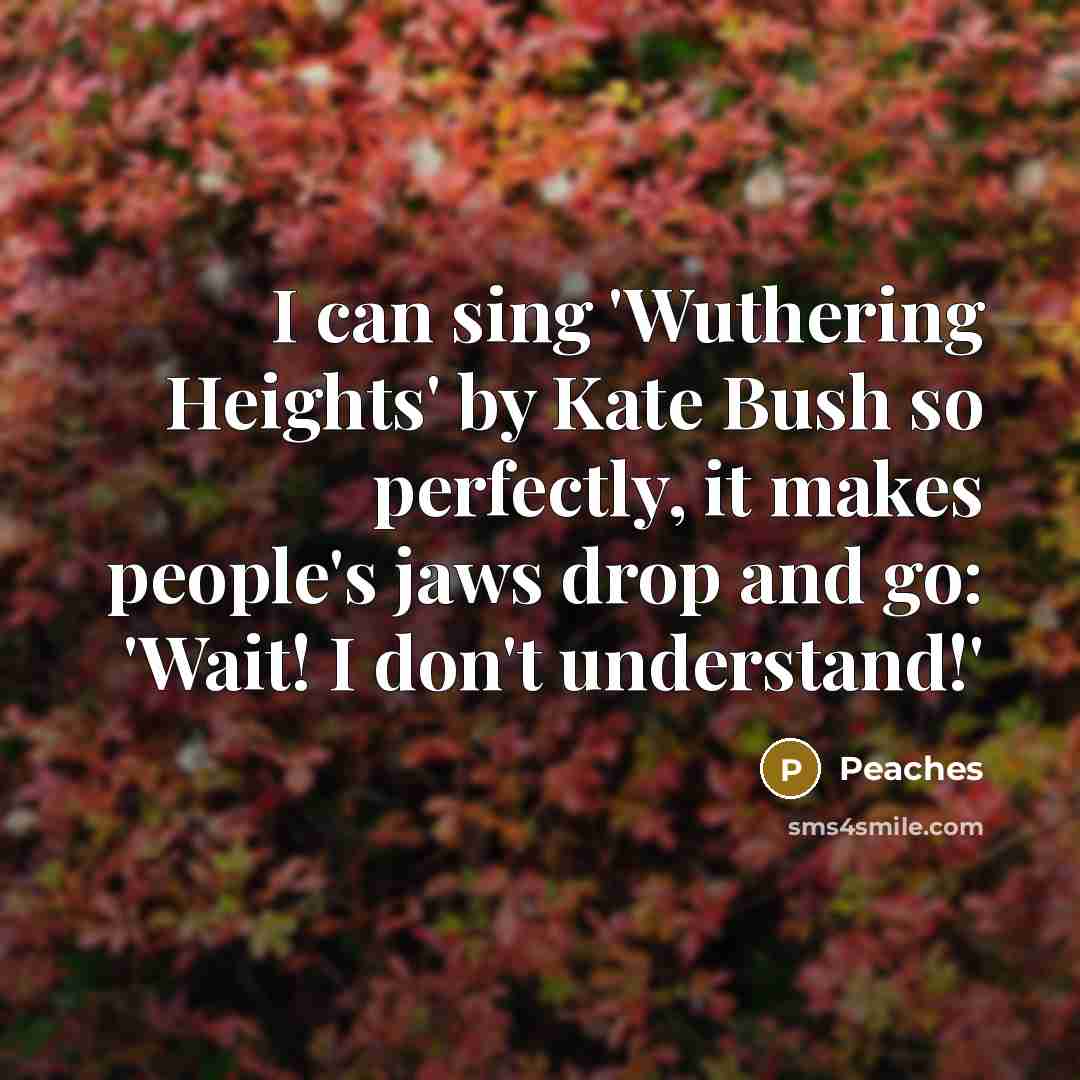 “I can sing 'Wuthering Heights' by Kate Bush so perfectly,…” quote by Peaches