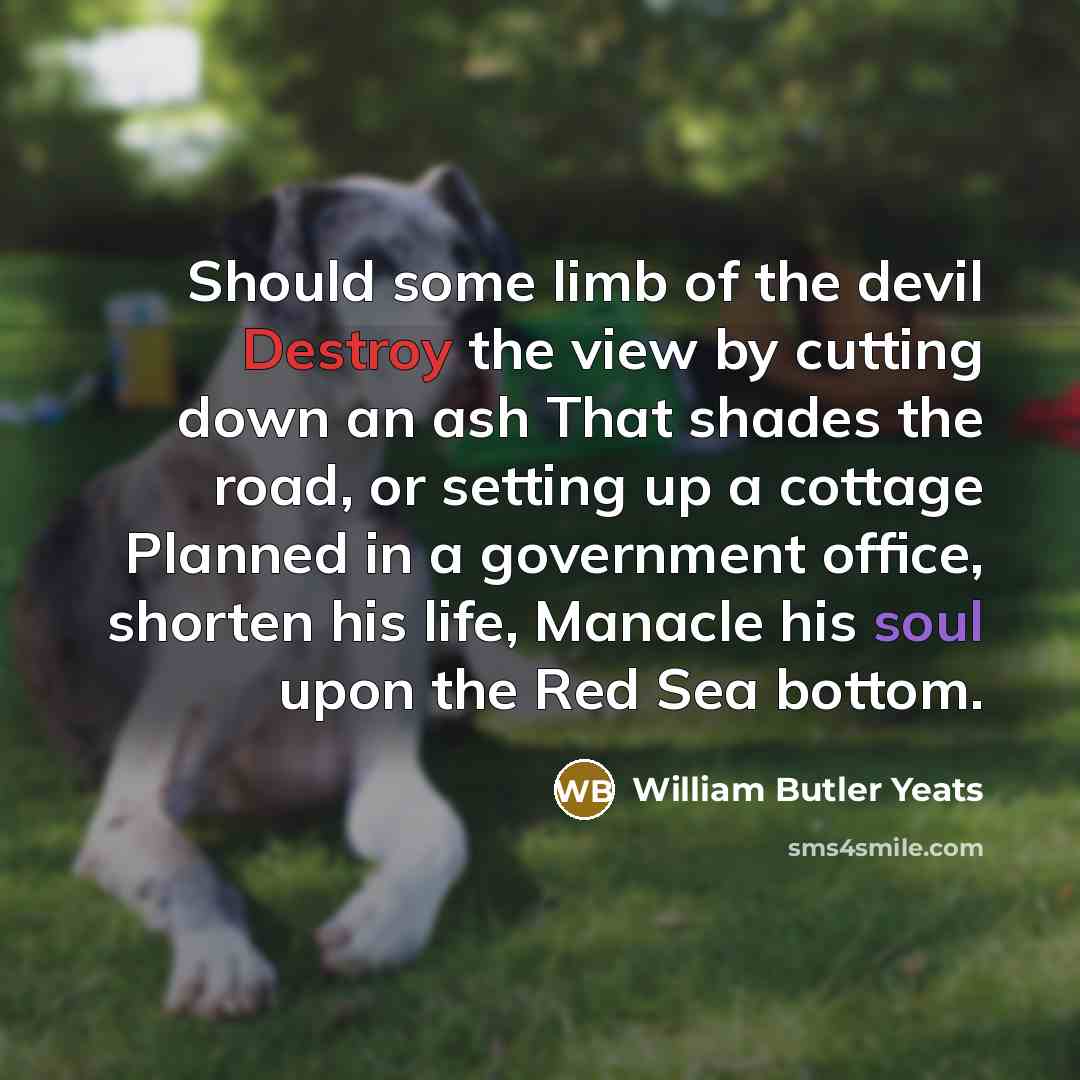 “Should some limb of the devil Destroy the view by cutting down an ash That shades the road, or setting up a cottage Planned in a government office, shorten his life, Manacle his soul upon the Red Sea bottom.” quote by William Butler Yeats