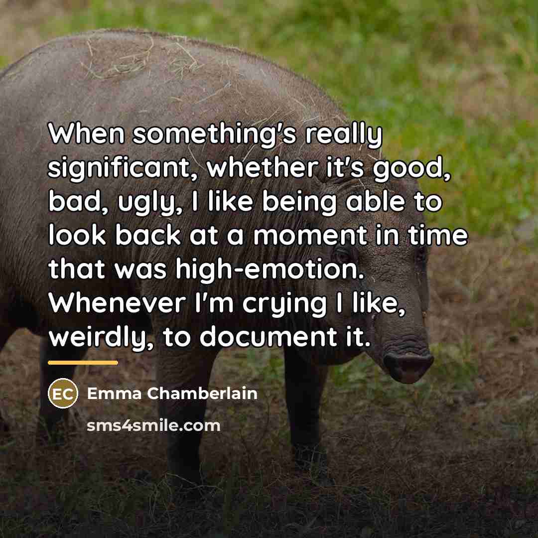 “When something's really significant, whether it's good, bad, ugly, I…” quote by Emma Chamberlain