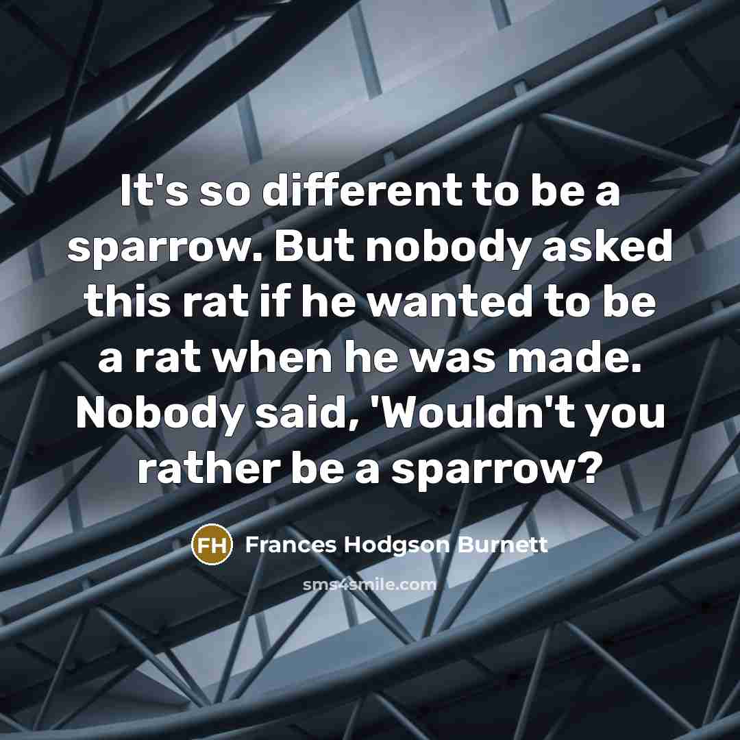 “It's so different to be a sparrow. But nobody asked…” quote by Frances Hodgson Burnett