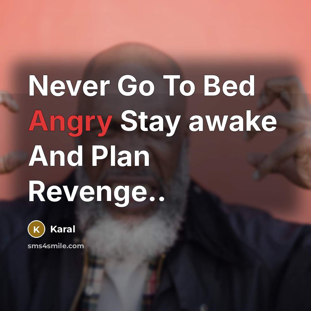 “Never Go To Bed Angry Stay awake And Plan Revenge..…” quote by Karal