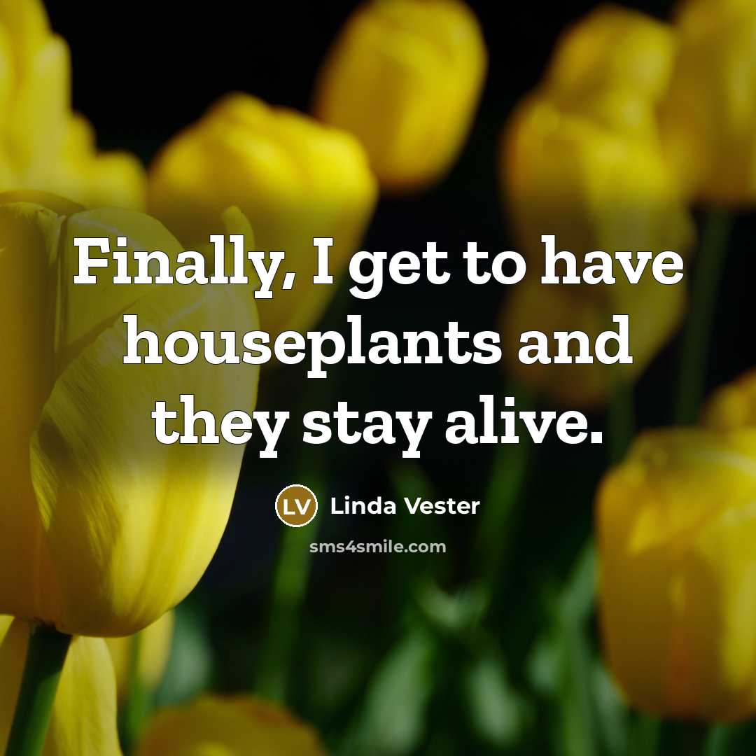 “Finally, I get to have houseplants and they stay alive.…” quote by Linda Vester