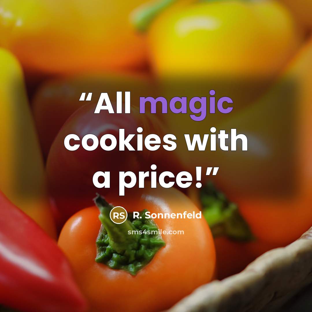 “All magic cookies with a price!” quote by R. Sonnenfeld
