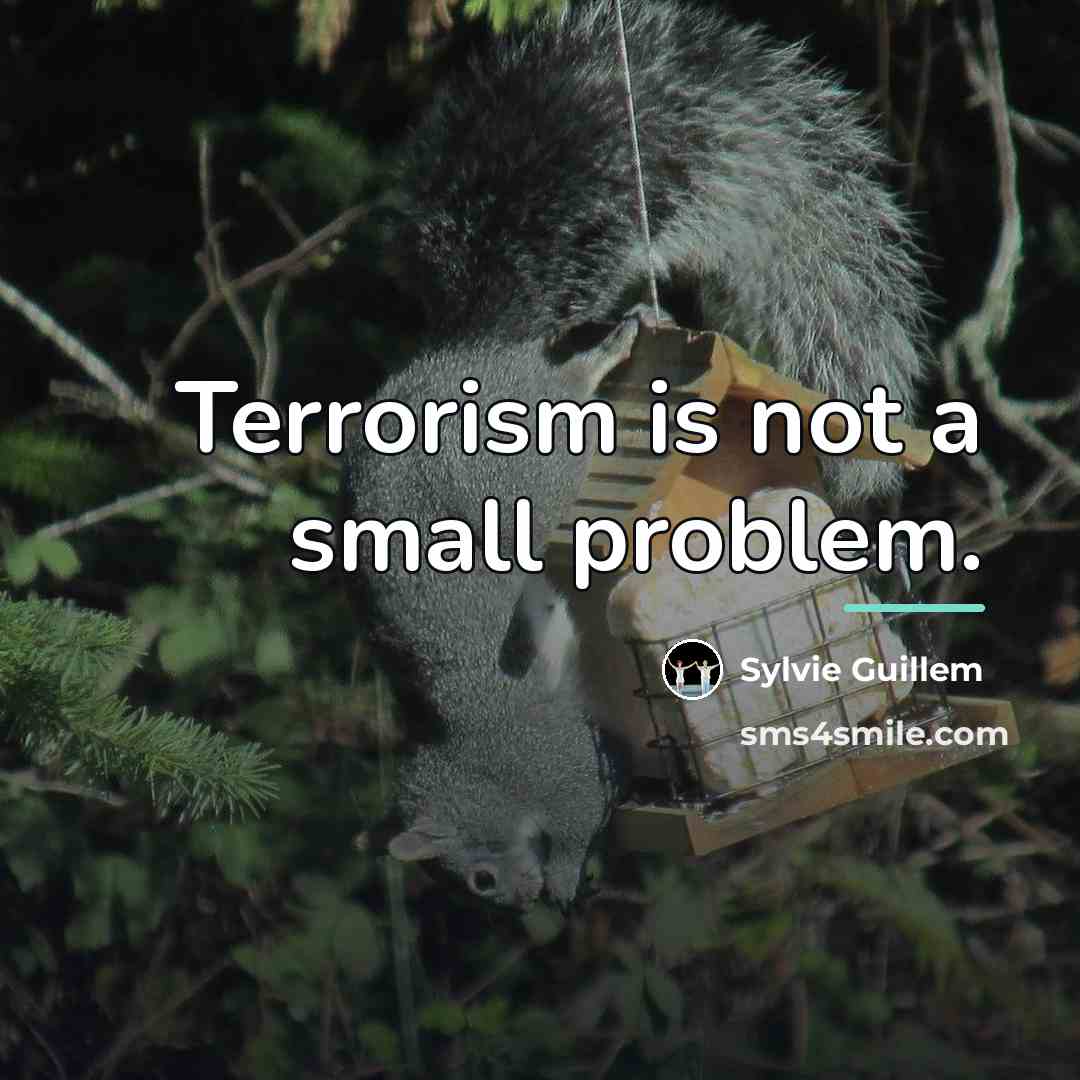 “Terrorism is not a small problem.…” quote by Sylvie Guillem