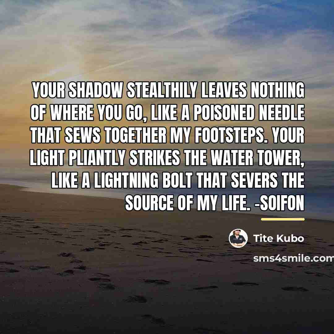 “Your shadow stealthily leaves nothing of where you go, like…” quote by Tite Kubo