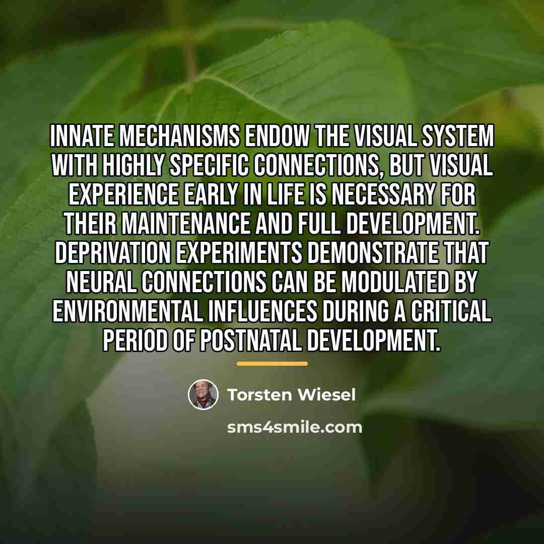 “Innate mechanisms endow the visual system with highly specific connections,…” quote by Torsten Wiesel