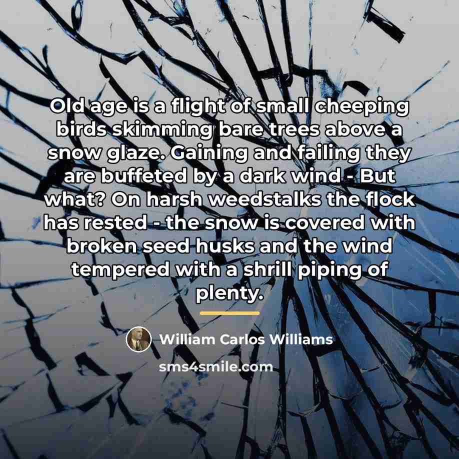 “Old age is a flight of small cheeping birds skimming…” quote by William Carlos Williams