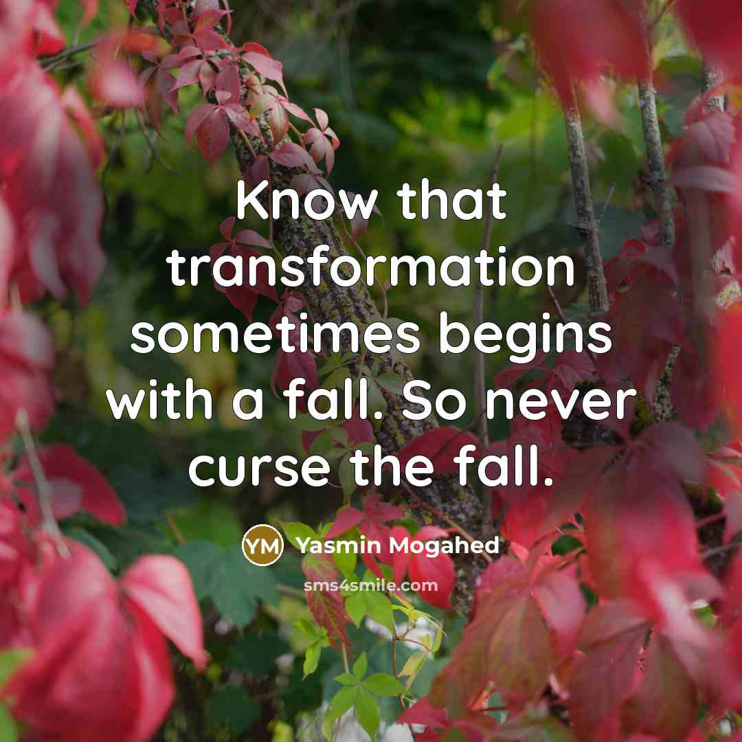 “Know that transformation sometimes begins with a fall. So never…” quote by Yasmin Mogahed