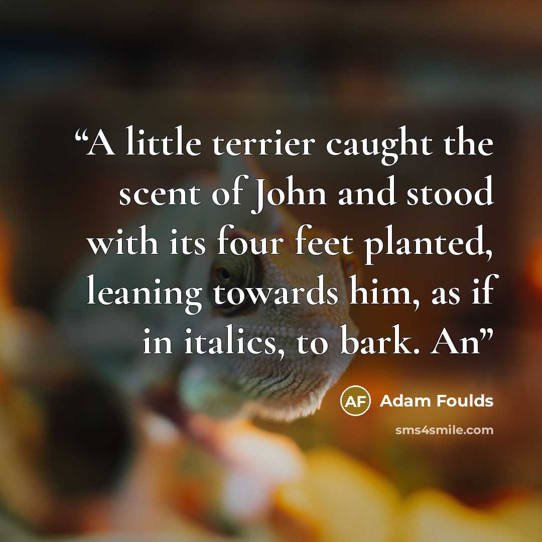 “A little terrier caught the scent of John and stood with its four feet planted, leaning towards him, as if in italics, to bark. An” quote by Adam Foulds