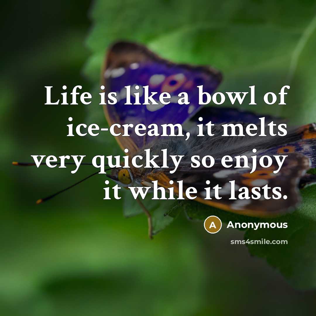 “Life is like a bowl of ice-cream, it melts very…” quote by Anonymous