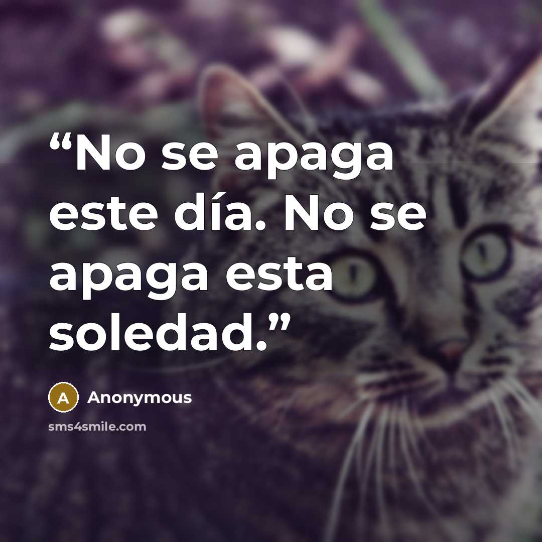 “No se apaga este día. No se apaga esta soledad.” quote by Anonymous