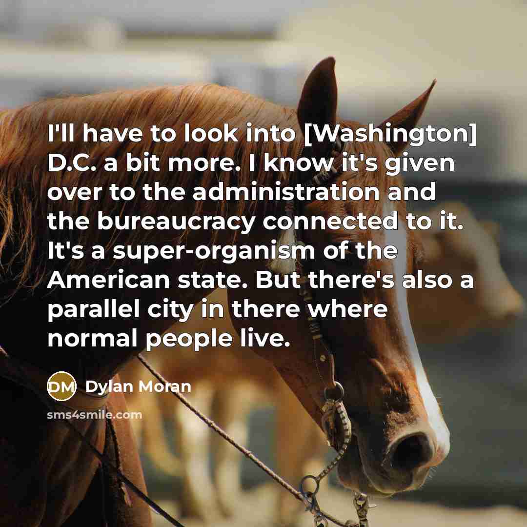“I'll have to look into [Washington] D.C. a bit more.…” quote by Dylan Moran
