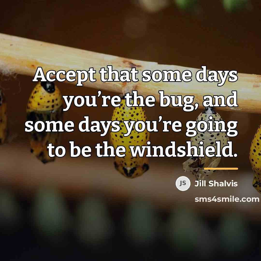 “Accept that some days you’re the bug, and some days…” quote by Jill Shalvis