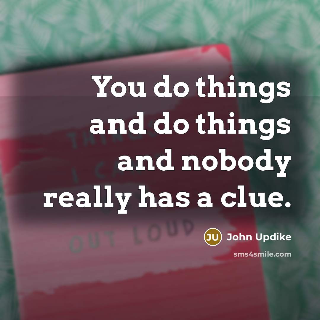 “You do things and do things and nobody really has…” quote by John Updike