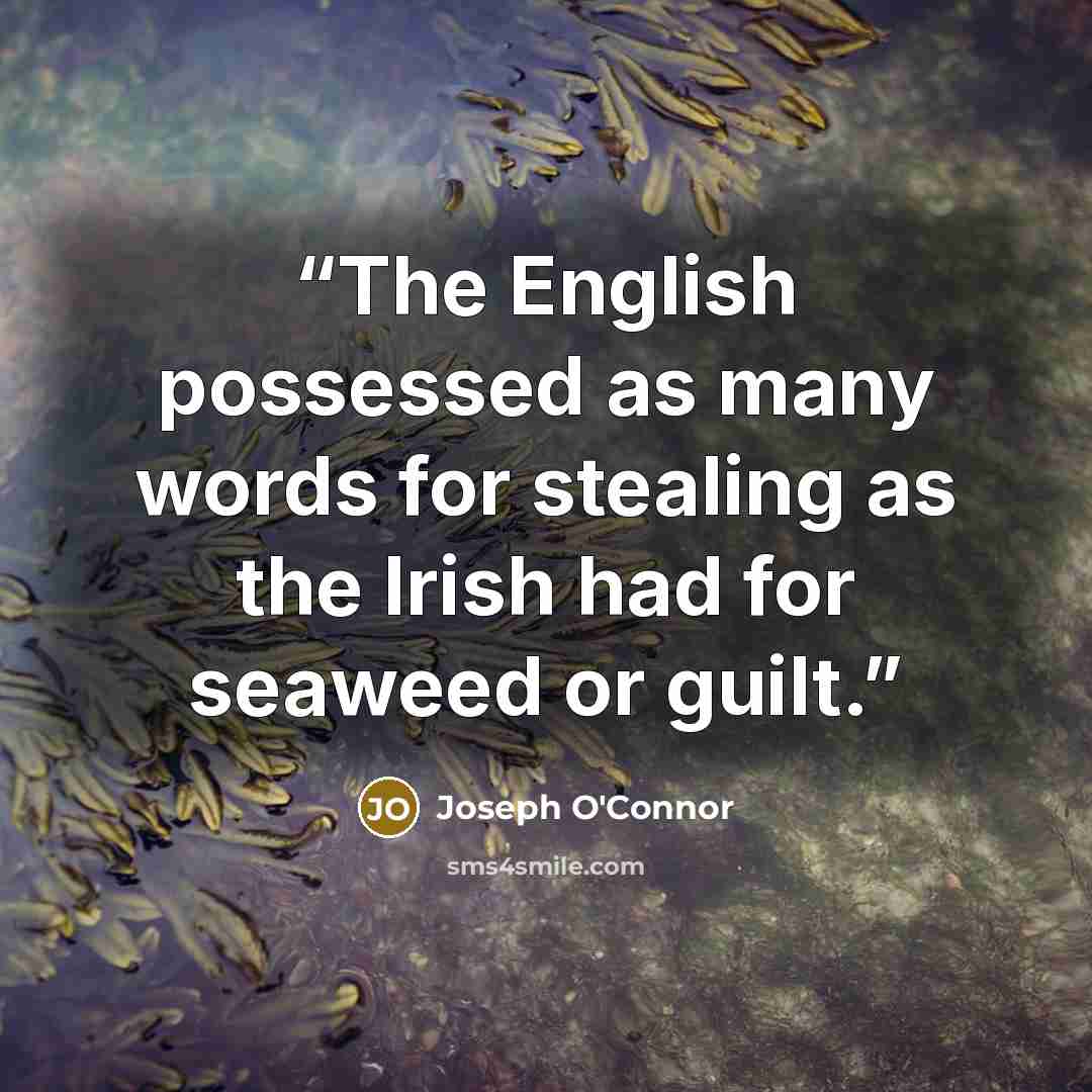 “The English possessed as many words for stealing as the Irish had for seaweed or guilt.” quote by Joseph O'Connor